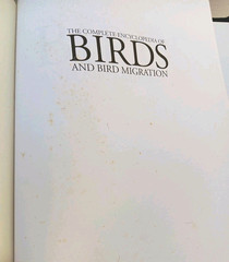 Complete Encyclopedia of Birds & Bird Migration Leather Hardcover Chartwell 2003