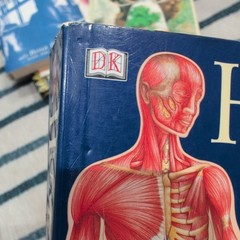 Lot of six Books About The Human Body Anatomy & Physiology Illustrated