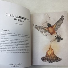 Ornithography: An Illustrated Guide to Bird Lore & Symbolism HC Excellent