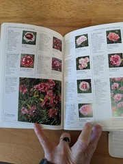 DK Eyewitness Garden Handbooks Perennials David Joyce Deni Bown HC Illus