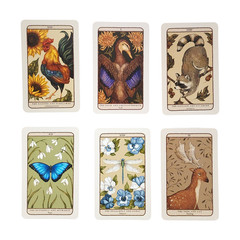 Woodland Wardens: 52-Card Oracle Deck & Guidebook by Jessica Roux Pre-Owned