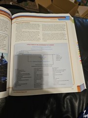 Social Studies And Language Advantage