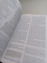 ESV Student Study Bible TruTone Chestnut 2011 Crossway