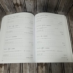 Your First 840 Words in Japanese (Paperback, 2024) N5 Vocabulary Hikaru Tamaki