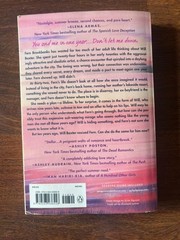 Meet Me at the Lake by Carley Fortune Paperback Romance Novel