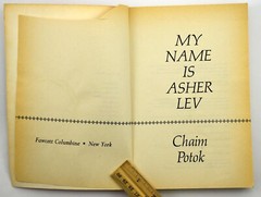 My Name Is Asher Lev – Paperback By Potok, Chaim 1996 – GOOD