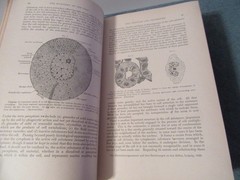 2 Principles of Pathology volume 1 & 2 George Adami general & systemic medical