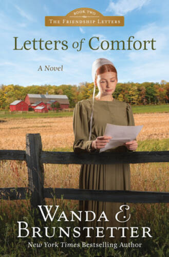 Letters of Comfort (Friendship Letters, 2) – Paperback – VERY GOOD
