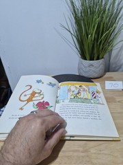The Monkeys Whiskers: A Brazilian Folktale By Anne Rockwell 1971 Hardcover