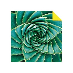 Origami Paper 500 sheets Succulents 6″ (15 cm): Tuttle Origami Paper: Double-Sid