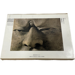 東大寺 Todaiji Temple Nara Japan Photo Book Hakudo Inoue Kokuhou Photography VTG