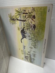 Dinosaur Dioramas to Cut and Assemble by Matthew Kalmenoff (1983, Paperback)