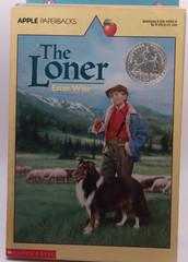 Lot of 14 Young Readers Books – Apple Fiction, Dell and More