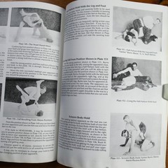 Lessons in Wrestling and Physical Culture Farmer Burns Matt Furey 1999