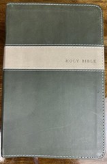 Holy Bible NLT New Living Translation Leather 2007 Tyndale Green