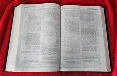 Freedom in Christ Bible New International Version Discovery Zondervan 2001 HB