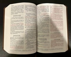 Biblia Letra Grande by RVR 1960- Reina Valera 1960 and Thomas Nelson Publishing