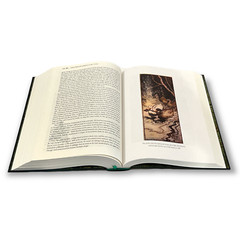 THE COMPLETE GRIMM’S FAIRY TALES by Grimm’s Illustrated by Arthur Rackham