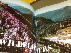 Book: 1973 Hammond Nature Atlas of America 255 pages