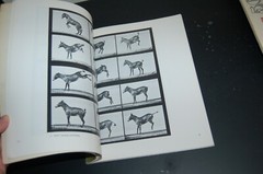 Horses and Other Animals in Motion: 45 Class… by Muybridge, Eadweard Paperback