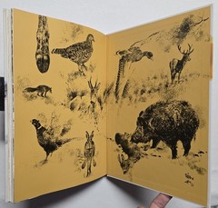 Rien Poortvliet: … und jeder Fuchs hat seinen Bau, Kosmos 2001, HC
