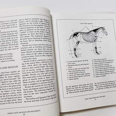 Horse Gaits, Balance and Movement by Susan E. Harris 1993 HC DJ