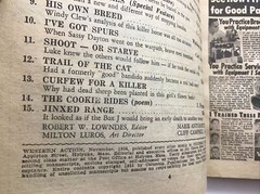 Western Action 15 Complete Action Packed Stories Nov 1955 Paperback