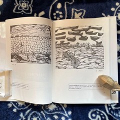 Keisuke Anko Woodblock Illustration Book 2003 Shibisha 61 Pages A4 Size