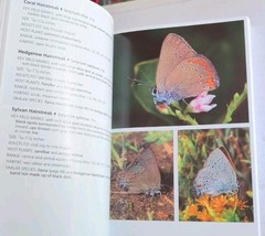 SIGNED by AUTHORS! Butterflies of Arizona: A Photographic Guide