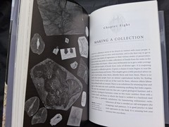 Fossils: The Key to the Past, hardcover book, by Richard Fortey
