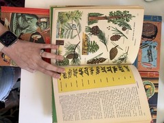 Vintage 1959/1960 The GOLDEN Book Encyclopedia Set Vol 1-4, 6,7, 9,10, 12-14,16