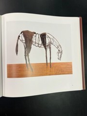 Deborah Butterfield by Robert Gordon (2003, Hardcover)