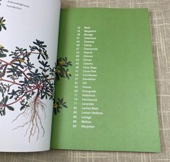 Herbal Handbook Cookbook Recipes Tinctures Teas Balms Botanical Garden Art