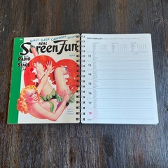 Girly Magazines 2007 Taschen Diary Vintage Pin Ups Covers Art