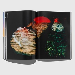 Richardson Magazine A12 The California Issue *NEW* Sky Bri Weirdo Dave Ed Ruscha