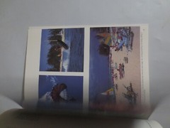 Beautiful Isles Cayman by Paul Humann Paperback book 104 Pages 11.5 X 9 Inch