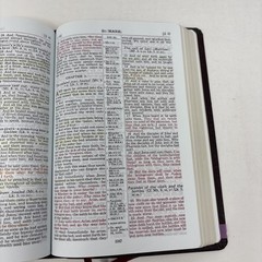 Holy Bible Scofield Study System Oxford Red Letter Concordance KJV