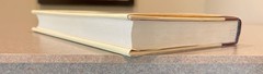 Story of B by Daniel Quinn (First Edition, 1st Printing Hardcover) Ishmael