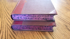 Antique 1920 National Geographic Magazine Hard Cover 2-Book Set Jan-Dec