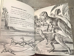 Dinosaurs by Herbert S. Zim Illus. by James Gordon Irving c.1976 Library Edition