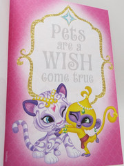 2 Shimmer and Shine books: Shapes & Colors / Hand Lettering Pre-K Workbook NEW*