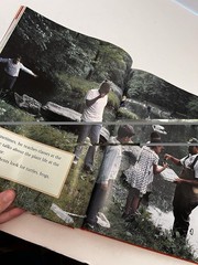 HOUGHTON MIFFLIN READING: Student Anthology Textbook Grade 2.1 Adventures – GOOD