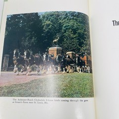 Gentle Giants Story of Draft Horses Stanley M. Jepsen 1973 HC 2nd Print Photos