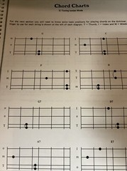 Mel Bay Cripple Creek Dulcimer Songbook Sheet Music NO CD 🎶 84 Pages