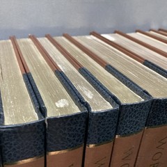 The World Book Encyclopedia 1979 Set of 22 Vintage Hard Cover