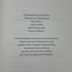 Stillness Flowing: The Life & Teachings of Ajahn Chah Buddhism HC DJ 1st Ed 2017