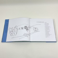 Oscar Niemeyer Houses By Alan Hess and Alan Weintraub Hardcover