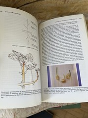 Botany for Gardeners An Introduction to the Science of Plants PB/1993 /2nd Print