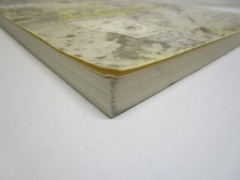 GOLD FEVER By Helen E. Wilson 3rd Printing 1987 Jarbridge Nevada