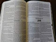 KJV Genuine Leather Brown Bible Thinline Large Print Thumb Indexed Cowhide NEW